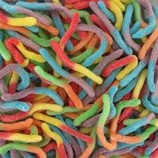 Vers de terre Acidulés 100g